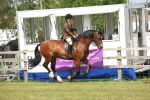 SBM_07680