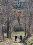 220280 Montefalco to Bevagna