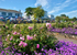 TQ208 - Colourful flowerbeds Babbacombe