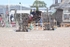 BPP_1711