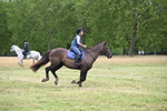 WJ6_4696
