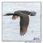 190604-untitled-8E0A5075-Edit