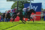 Race 4 17.15pm Sky Bet Extra Places Handicap portfolio