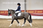 BPP_8280