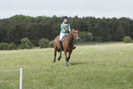 BVHT 140517  NXC -471