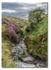 Black Brook