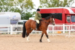 SBM_16908