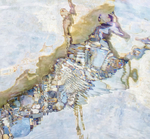 SEAHORSE IMPRESSION - GEORGIAN BAY