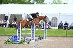 356-CREEVAGHSTABLES_IFICUDIWUD-Tim_Cheffings portfolio