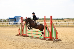 SBM_001293
