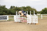 SBM_001981