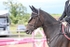 BPP_3761