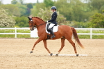 SBM_006762