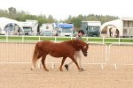 SBM_16465