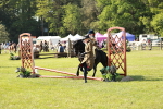 SBM_11274