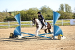 SBM_000211