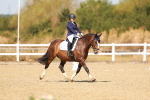 SBM_017950