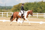 SBM_001593