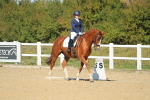 SBM_001463