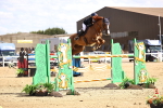 SBM_004441