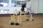 Class 5 - Senior Foxhunter - 1.20m portfolio