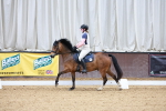 SBM_001662