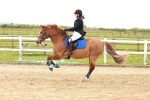 SBM_003990