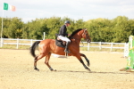 SBM_007987