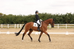 SBM_000367