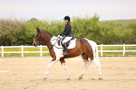 SBM_007324