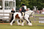 SBM_06115