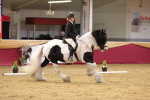 SBM_09334