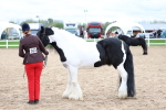 SBM_05945