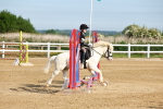 SBM_006294
