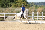 SBM_003247