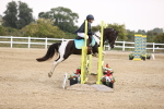 SBM_001991