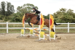 90/100cm showjumping portfolio