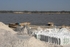 Senegal Lac Rose salt production 16