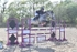 BPP_4480