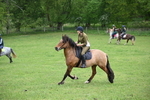 WJ6_3353