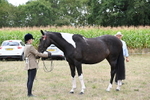 WJ6_5635