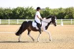SBM_007435