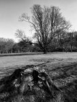 Lytham Parkland 007