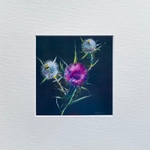 Thistle Trinity