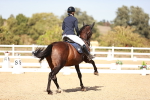 SBM_006331
