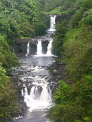Hawaii portfolio
