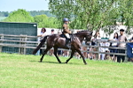 SBM_15267