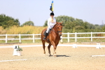SBM_004124