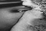 Silver Surf