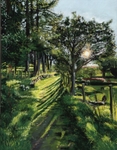 Mourne Way - beyond Tollymore